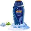 Fiama Di Wills Men Refreshing Pulse Shower Gel 250 ml