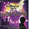 Crimson Magical World of Harry Potter