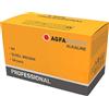AgfaPhoto Batteria alcalina professionale -9 V E-Block 10 pezzi