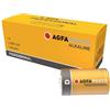 AgfaPhoto Batterie alcaline Professional -D Mono 10 pezzi