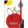 Premium Paper Taccuino Peanuts Snoopy in pisolino (10 x 14 cm)