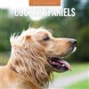 Red Robin Publishing Calendario da parete quadrato 2026 Cocker Spaniel Red Robin Publishing