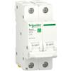 Schneider Electric R9F37616, Interruttore magnetotermico 1P Tipo C