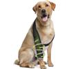 KISFLY Tutore per Gamba Anteriore del Cane per osteoartrite, Gomito, igroma, displasia, lussazione della Spalla, Calli del Gomito, Protezione per Gomito del Cane, previene leccare Le ferite, con