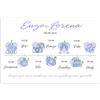 CESANA LIKE PHOTO Programma matrimonio personalizzato timeline nozze acquerello disponibile in tutti i colori 20 pz