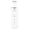 Rio The Beauty Specialist Pulizia del viso elettrica, Pulizia pori in profondità, Frequenze ad alta intensità esfoliano delicatamente, aspiratore sebo, USB FASC2