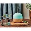Generico Nasoterapia - Diffusore ad Ultrasuoni BERRY per Oli Essenziali con presa USB