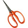 近正 CHIKAMASA B-500SF Cesoie per la cura dell'uva trattate con fluoro, in acciaio inox