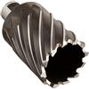 Milwaukee 49-59-2175 - Taglierina anulare 1-3/4 x 2 Hss