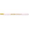EXTOL PREMIUM HCS - Lame per seghe da cancello, 5 pezzi, 126 x 4,0 mm