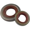 pljYocdO Kit guarnizione olio, silenziatore, carburatore, cilindro del basamento, adatto for motosega MS360 036 MS340 034(2pcs Oil Seal)