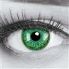 Meralens Lenti a Contatto Colorate verde Witch Green Lenses - con porta lenti a contatto - ideali per Manga Anime Halloween - Durata 1 Anno - 1 Coppia senza correzione