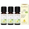 FLORA Litsea Olio essenziale, pack da 3 da 10 ml, BIO-CODEX - 100% puro naturale e totale proveniente da coltivazioni biologiche controllate