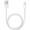 Apple Cavo da Lightning a USB (2m)