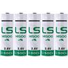 BenjiPower - Confezione da 5 pile al litio LS14500 3,6 V 2600mAh Li-SoCl2 AA