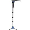 ayex Monopiede per video con testa a fluido e ragno, altezza 185 cm, leggero e stabile, custodia inclusa