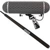 RØDE Rode Blimp - Paravento + Micro Boompole Tonangel
