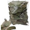 Generic Lettiera di foglie di magnolia naturale, 50 pezzi substrato per rettili per vivari bioattivi, drago barbuto, e per serbatoi di, decorazione naturale per terrari