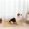 FANSU Set da 2 Tappetino per Cani Lavabili, Assorbenti Tappetini Igienici per Cani, Tappetino per Addestramento del Cane Riutilizzabile, Traversine Cani Tinta Unita (45X60cm,Cachi)
