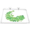 Generic Mangime per acquario - Anello per acquario - Anello galleggiante per piante per acquario - Mangime per acquario Betta - Dispenser per acquario con ventosa, mangime per acquario
