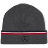 Mercedes AMG Petronas F1 Team Beanie 2022