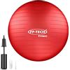 FP-TECH - Palla da Fitness, Palla Pilates Yoga Anti-Scoppio 55cm/65cm/75cm/85cm Palla da Ginnastica con Pompa Rapida inclusa per Fitness Yoga Pilates e Ufficio 6 Colori (Grigio, 75 CM)