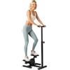 COSTWAY Stepper Fitness con Manubrio Regolabile in Altezza, Display LCD, Pedali Antiscivolo e Resistenza Idraulica, Stepper in Metallo, ABS, PP e EVA per Casa, Ufficio e Palestra