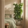 BLAINE | Albero di Mango 100cm | Piante Artificiali Decorative | Pianta Artificiale Grande | Piante Artificiali per Interni/Esterni | Pianta Artificiale Realistica Decorativa per la Casa