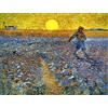 liziciti Kit di Pittura Diamante 5D per Adulti, Trapani Completi Capolavori di Van Gogh Ricamo a Punto Croce con Strass 30x40cm (Il Seminatore)