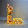 Generico Luce Notturna In Resina Floreale, Lettere In Resina Con Fiori Pressati Con Luce LED, Lampada Notturna Floreale Creativa, Luce Notturna Con Lettere Di Fiori Secchi, Regali Per La Festa Della Mamma