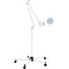 Coniaio Lampada d'Ingrandimento Professionale 5 Diottrie, LED Lampada Lente Ingrandimento piedistallo e, 24w lampada estetica, adesivi dentisti, tecnici delle unghie