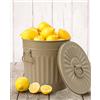 Jinfa | Bidone della spazzatura in metallo con manici e coperchio | Beige | Ø 36 cm, h 36,5 cm | Capienza 35 litri