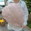 GUOZHAN 10 Pezzi/Lotto Piume di Struzzo Bianche Naturali 15-50 cm Grandi Piume per Decorazioni per la casa e Matrimoni centrotavola da Tavolo Artigianato
