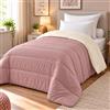 Corredocasa Trapunta 4 Stagioni Made in Italy Piumone Imbottitura 350gr/mq Coperta in Morbida Microfibra di Poliestere Casa (Cipria/Beige, Matrimoniale 250x260 cm)