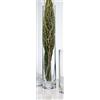 Sandra Rich Vaso in vetro Solifleur trasparente, cilindrico, 36 cm, Ø 6 cm, Cold Cut