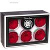 Generico Rose Stabilizzate Rosse scatola 6 pz rosamor, Vere Liofilizzate, Rosa stabilizzata Amor prezzo x tutta la scatola da 6 pz, miglior marca