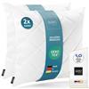 LILENO HOME Set di 2 imbottiture per cuscino, 60 x 60 cm - Cuscino interno lavabile a 95°C adatto per persone allergiche - Imbottitura in poliestere per cuscini da divano, poltrona, sedie e