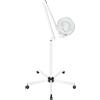 Fermoirper Lampada da tavolo con lente d'ingrandimento 8X e LED 24W Lampada da tavolo con lente d'ingrandimento lampada e ruote per studio di bellezza, braccio regolabile