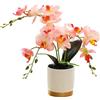 Generic Fiore Artificiale di Orchidea a Tre Punte Arancione in Vaso con Fondo Dorato Fiore Decorativo Phalaenopsis di Fiori Farfalla di Simulazione Bianco in Vaso (rosa)