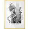 Generic Cornici Per Foto e Cornici Per Poster 70x100 cm Oro PVC Per La Casa Simmetrico Montaggio A Parete Sospeso Da Appendere Soggiorno Artistica Plastica Regolare - Aspetto Artistico