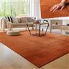 Paco Home Tappeto Moderno e Morbido per Soggiorno a Pelo Corto Lavabile Fluffy Uni Effetto Pelliccia Senza Tempo Elegante Antiscivolo Facile da Pulire, Dimensione:240x340 cm, Colore:Rame