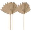 VALICLUD Decorazioni da Parete Boho 4 Pezzi di Foglie di Palma Essiccate a Ventaglio Ornamenti Composizioni Floreali per Feste di Matrimonio ed Eventi Estivi