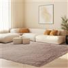 STGAO Tappeto a Pelo Alto 170 x 250 cm Lavabile Tappeto Pelo Lungo Antiscivolo Rettangolare per Soggiorno, Camera da Letto, Ufficio,Esterni, Corridoio, Beige