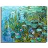 Dass Ninfea Monet Pittura su tela Stampe su poster Paesaggio Pittura a olio Arte Immagine da parete, per soggiorno Camera da letto Decorazione murale Nessuna cornice (Size : 50x60cm No Framed)