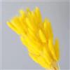 FOSANGPUSHI Fiori secchi a Coda di Coniglio,100 Pezzi 40 cm Fiori secchi Naturali Fiori Bianchi Grigi Vera Coda di Coniglio Erba Bouquet Composizione di Fiori per la casa Soggiorno Arredamento Giallo