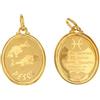 Generic CIONDOLO SEGNO ZODIACALE PESCI IN ORO GIALLO 18 KT + COLLANA LACCIO IN OMAGGIO (pesci)