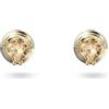 Swarovski Stilla Orecchini a Lobo, con ZirconiaSwarovski a Taglio Trilliant, Placcati in Tonalità Oro, Giallo Ambra