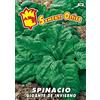 Mondonatura Spinacio Gigante d'inverno semi in busta