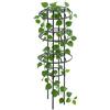 Generico Supporto per Piante Rampicanti - Struttura Resistente alla Ruggine | Gabbia da Vaso per Fiori - per Glicine, Fiori, Frutta, Verdura, Piante da Interno ed Esterno, in Vaso