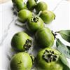 Generic Semi di diospyros digyna - cachi neri - kaki rare, interno budino al cioccolato con sapote nero, cachi resistente giardino 50pcs